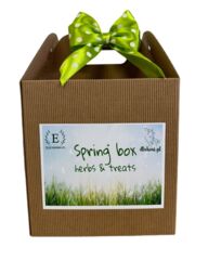 SPRING BOX <br> Herbs & Treats