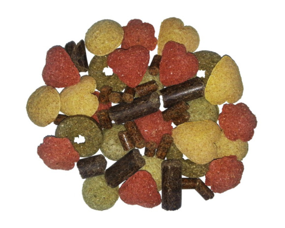 Smakołyki dla koni MIX smaków ŚREDNIE